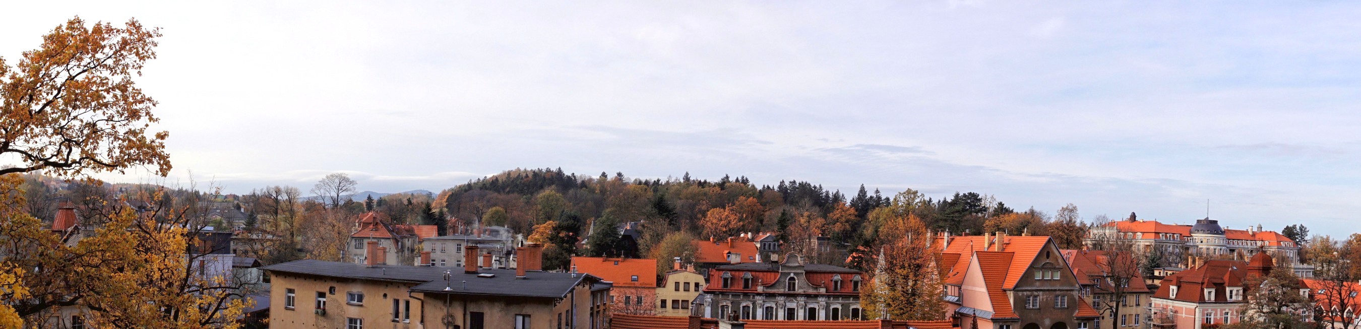 Widok na Szczawno z wieży Anny